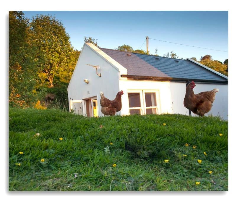 Cosy Self Contained Cottage With Stunning Views Killaloe Buitenkant foto